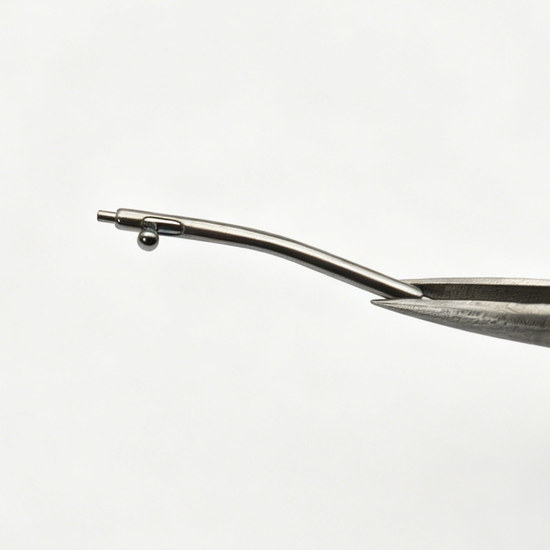 Piezas de repuesto para reloj, - Curved Spring Bar reseña y precio